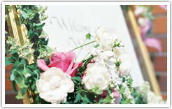 Bilancia umeda[�ӥ����� �����]��